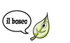 il bosco